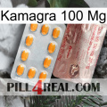 Kamagra 100Mg new13